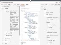 Extraction agent output parser